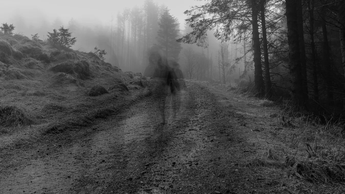 Megtalálták az eltűnt kétéves kisfiú földi maradványait