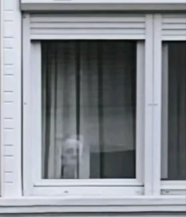 Vera rokona szellemét látta meg a Google utcaképén /