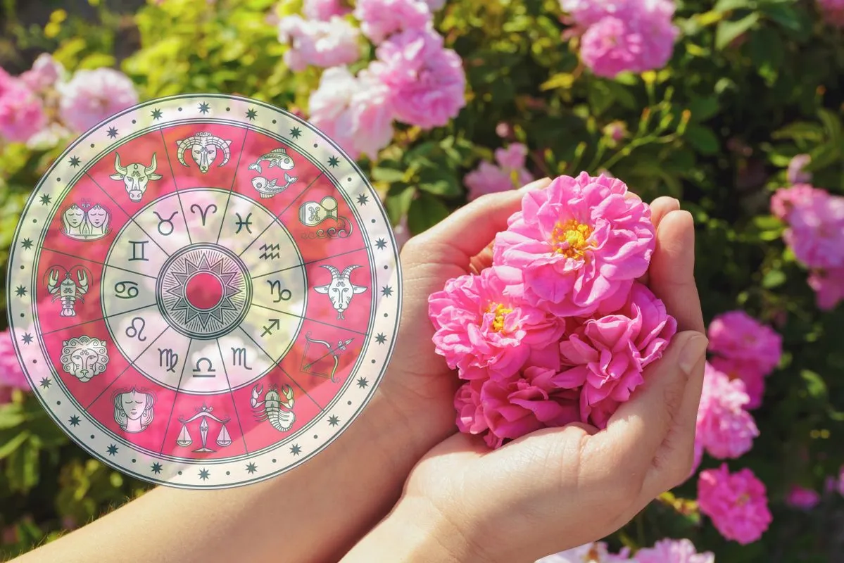 Woman,Holding,Roses,Closeup.,Summer,Season.