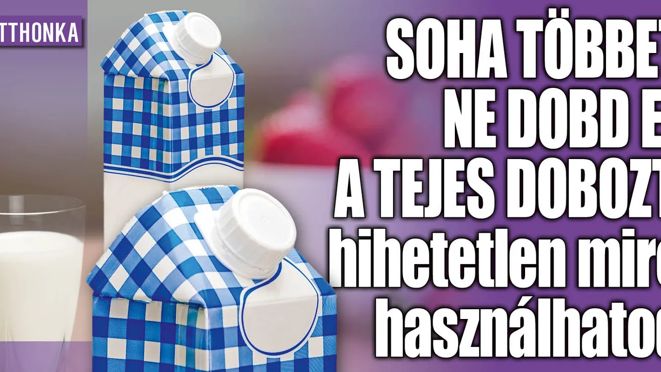 Soha többet ne dobd el a tejes dobozt