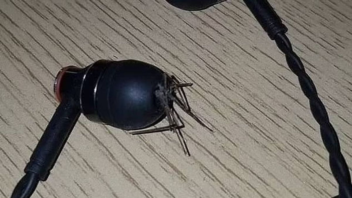 Ha ezt meglátod, soha többé nem használsz fülhallgatót! Undorító, mi bújt meg benne