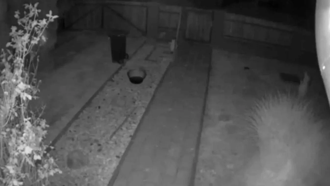 Túlvilágról üzent János a családjának