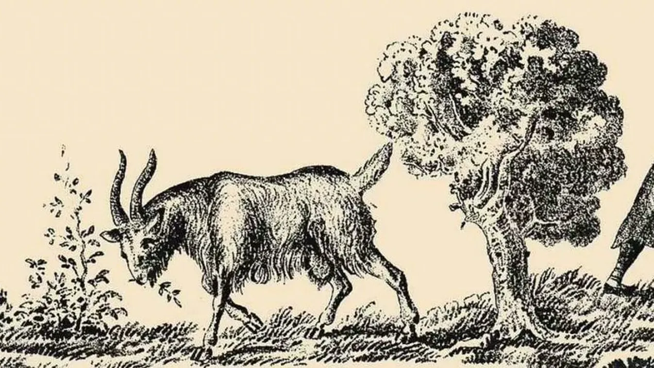 Teszt: az emberek 1 százalékába tartozol, ha sikerül