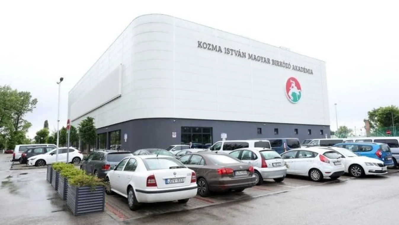 Kitört a balhé a birkózóknál