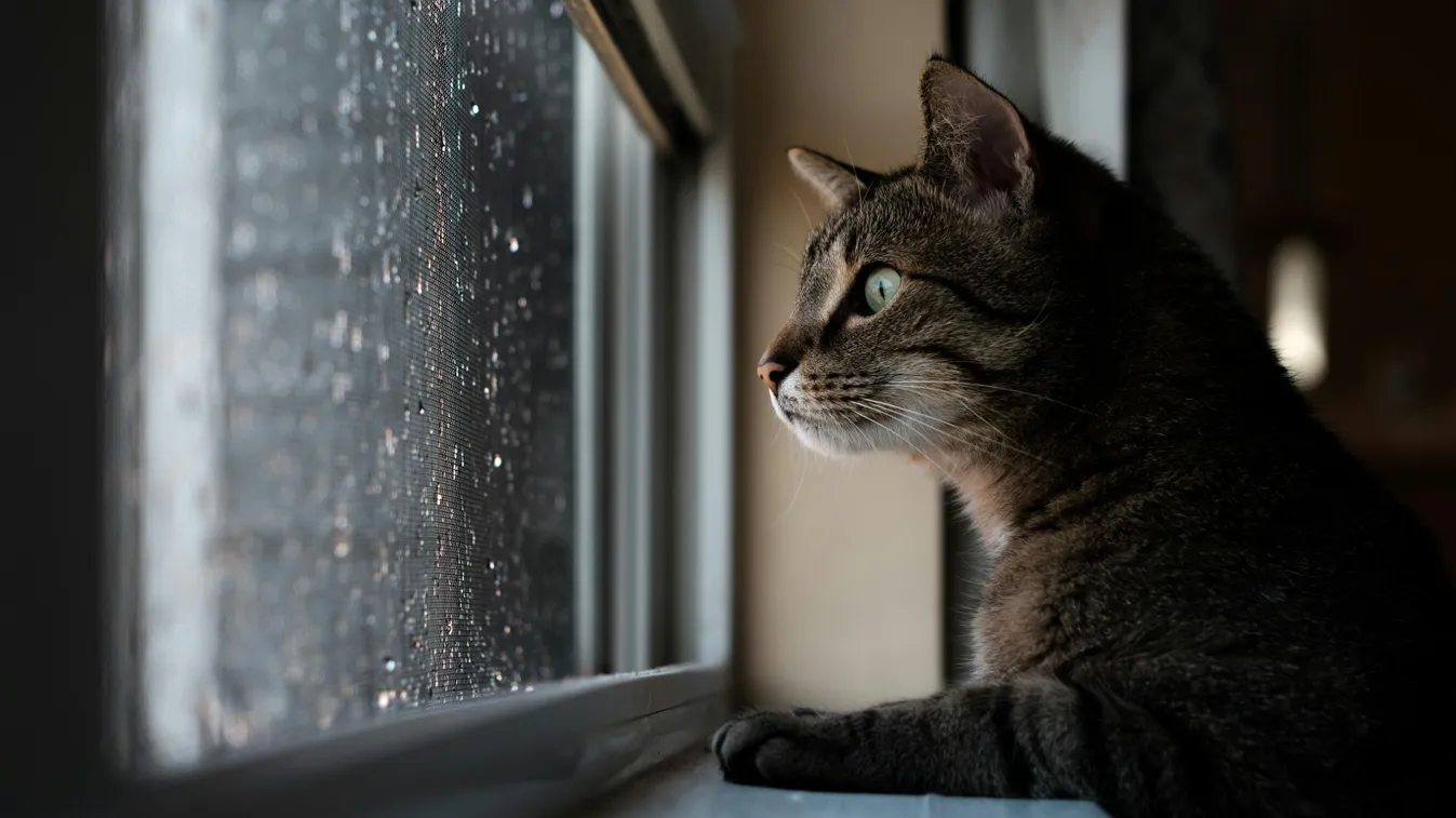 Változékony lesz az időjárás: köd, szél, és zivatar is lehet