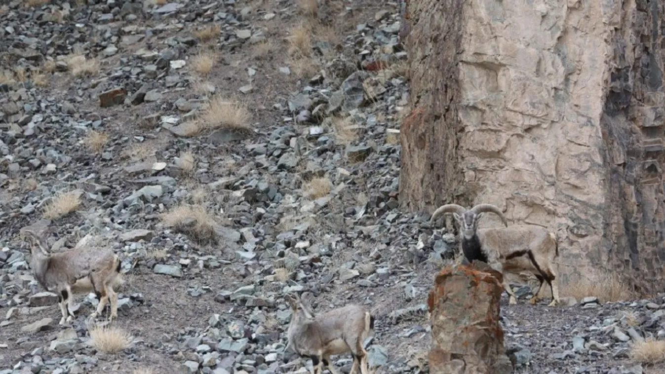 Lehetetlen teszt: mindössze 1 százalék nem bukik el rajta