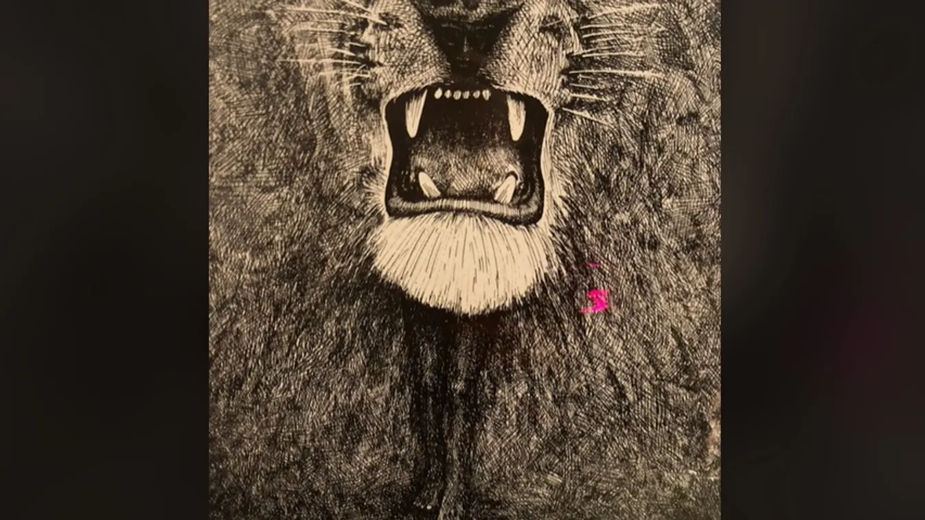 Ez a teszt elárulja, mennyire vagy jó szerető vagy!