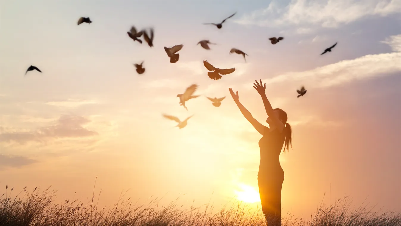 Lecsap az univerzum ereje, 3 csillagjegy élete felfordul