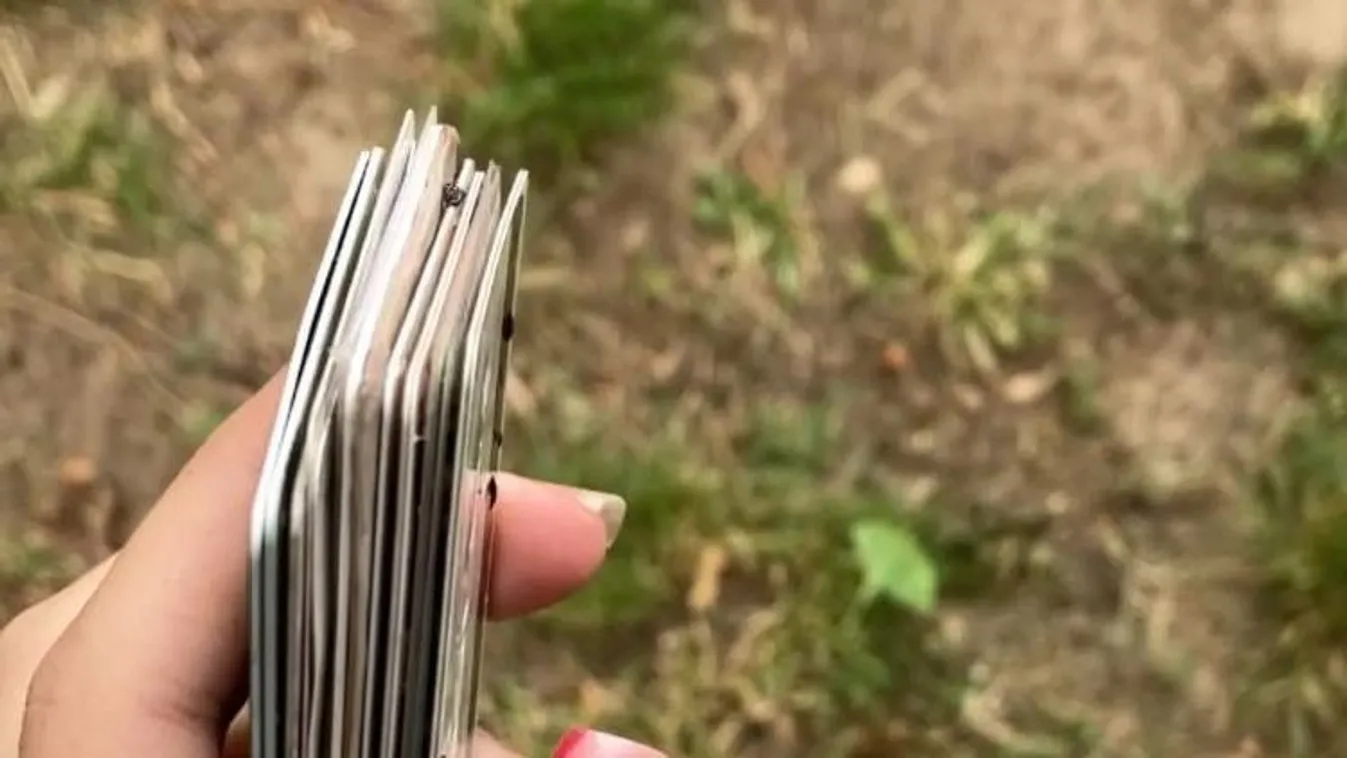 Rejtély Jászberényben, ezt találta egy iskoláslány a fűben