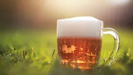 Eljött az idő, most vidd ki a sört a kertedbe