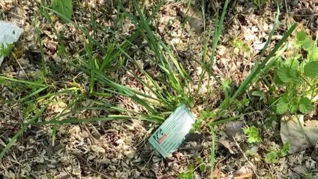 Dóra a fűben találta meg az okmányokat /