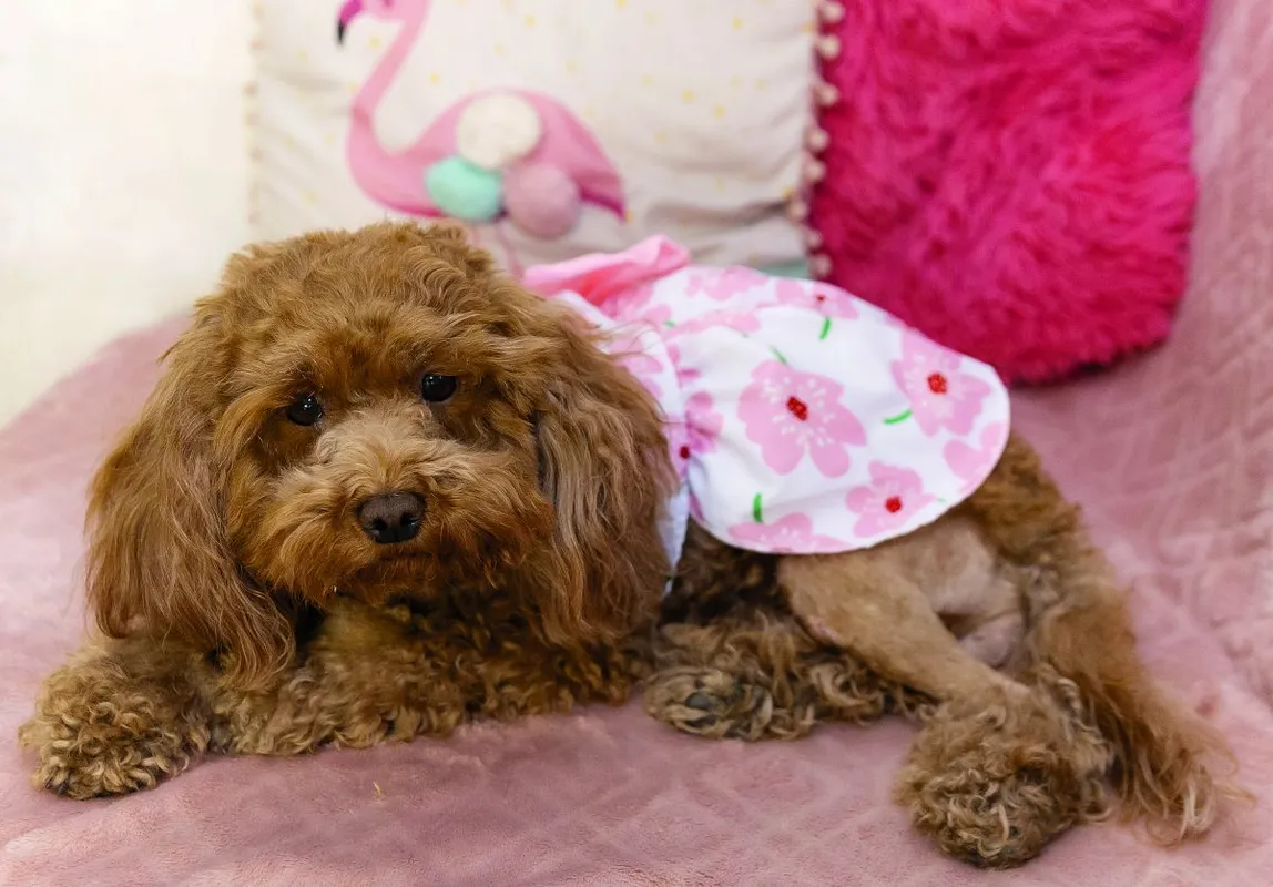 HOT FELTÖLTÉS ÉN ÉS A KEDVENCEM DÁVID PETRA