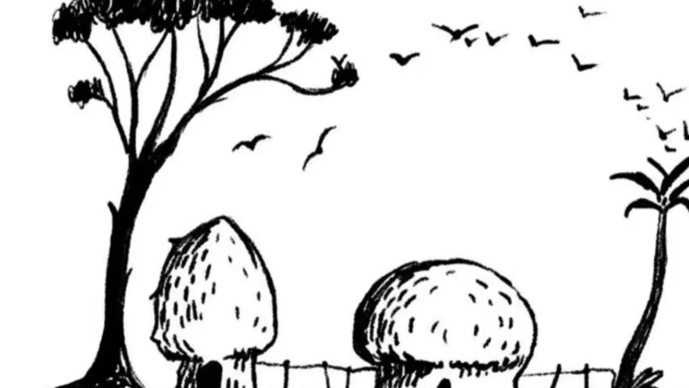 Rettentően nehéz IQ-teszt - Fotó