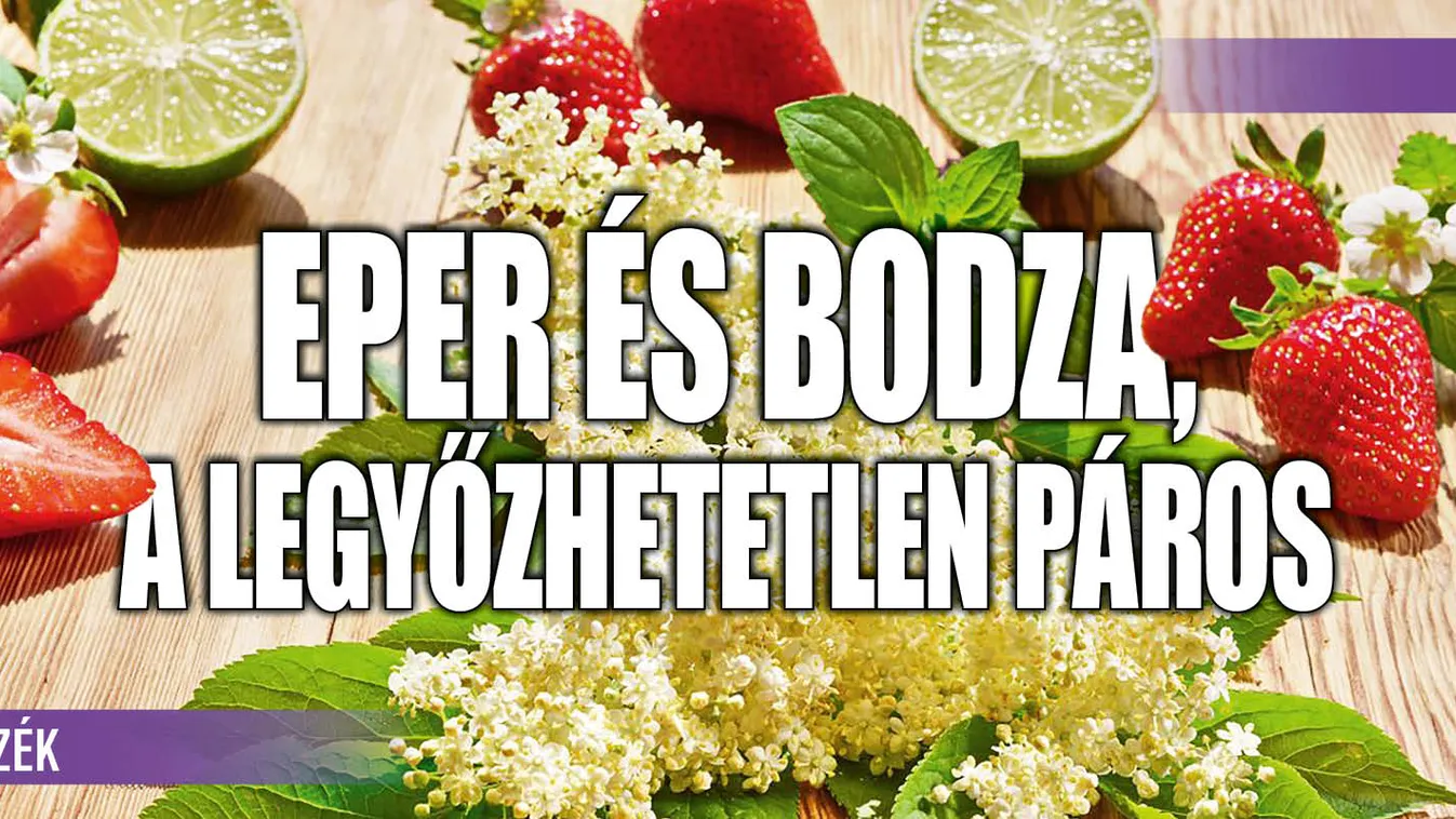 Eper és bodza, a legyőzhetetlen páros: zseniális receptek
