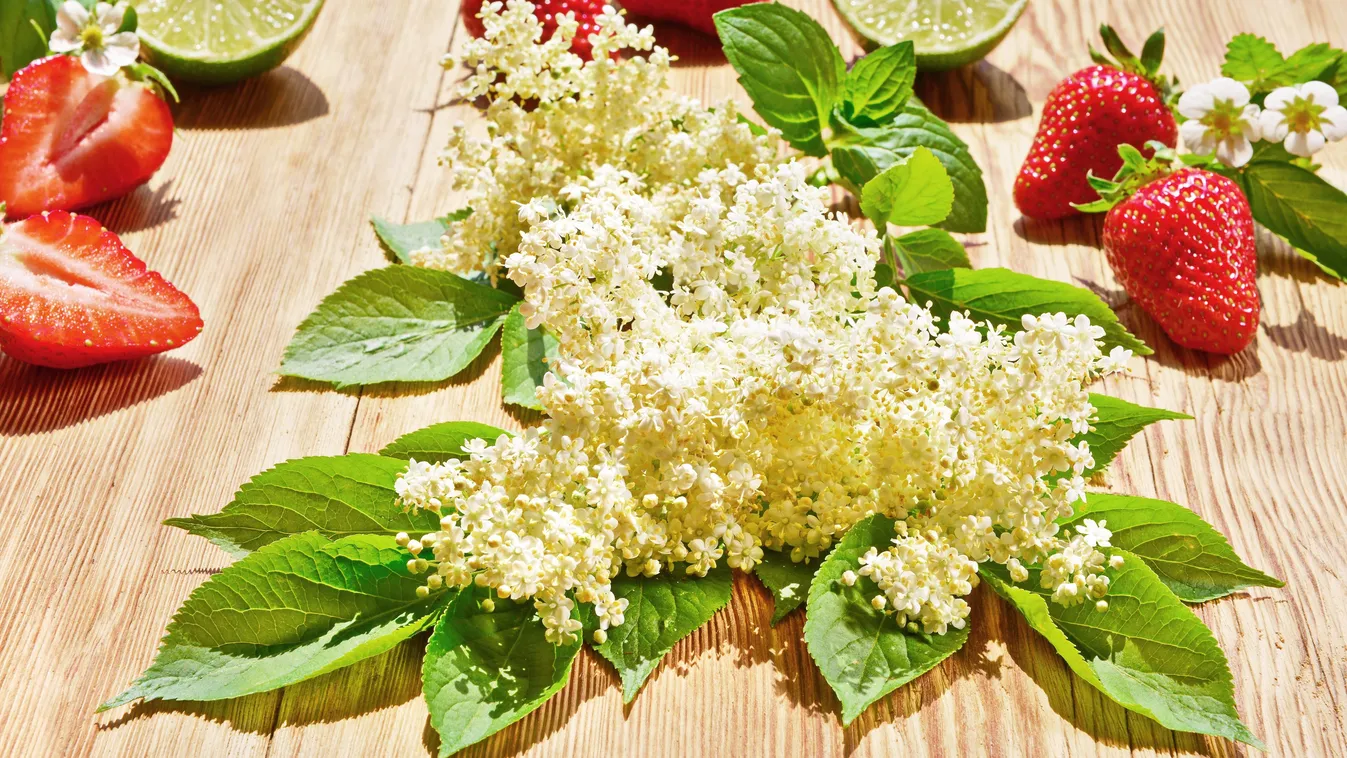 Eper és bodza, a legyőzhetetlen páros: fantasztikus recepteket mutatunk