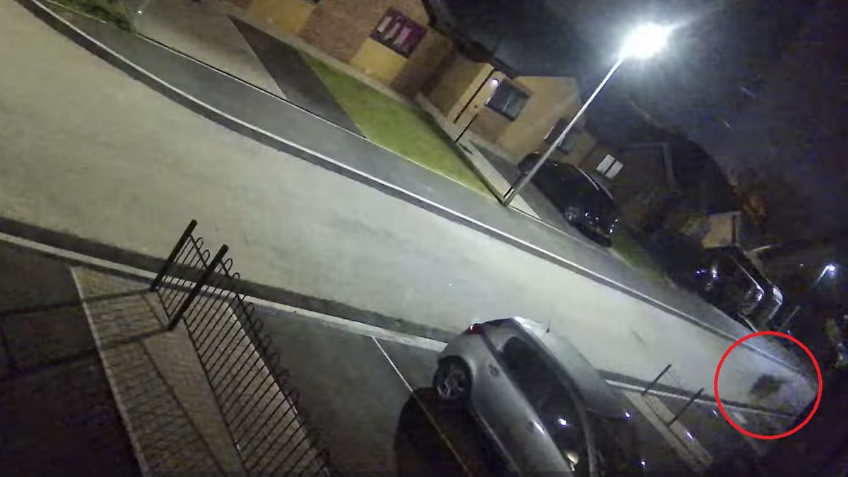 Mindent rögzített a kamera: szellemkutya tart rettegésben egy falut – Videó