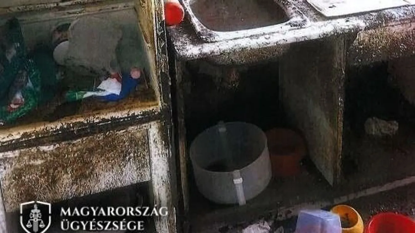 A rendőröket is megdöbbentette, amit a pécsi panelben láttak