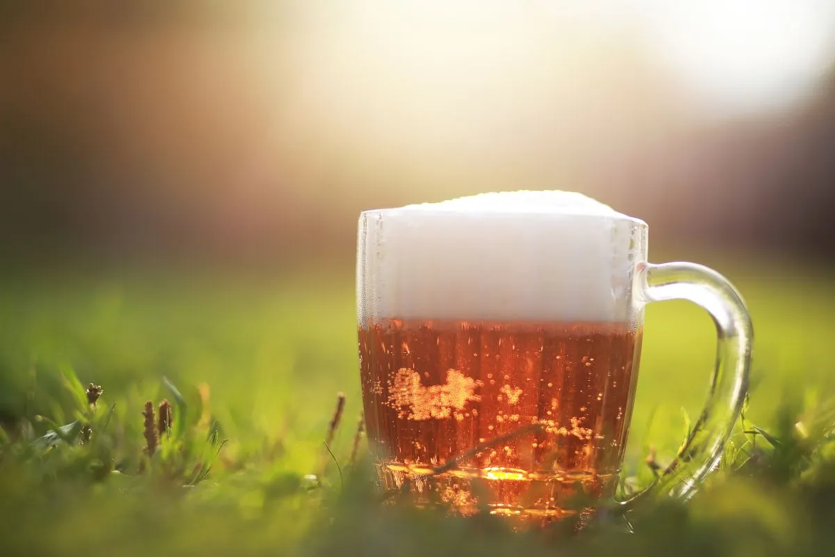 Mug,Of,Beer,On,The,Grass