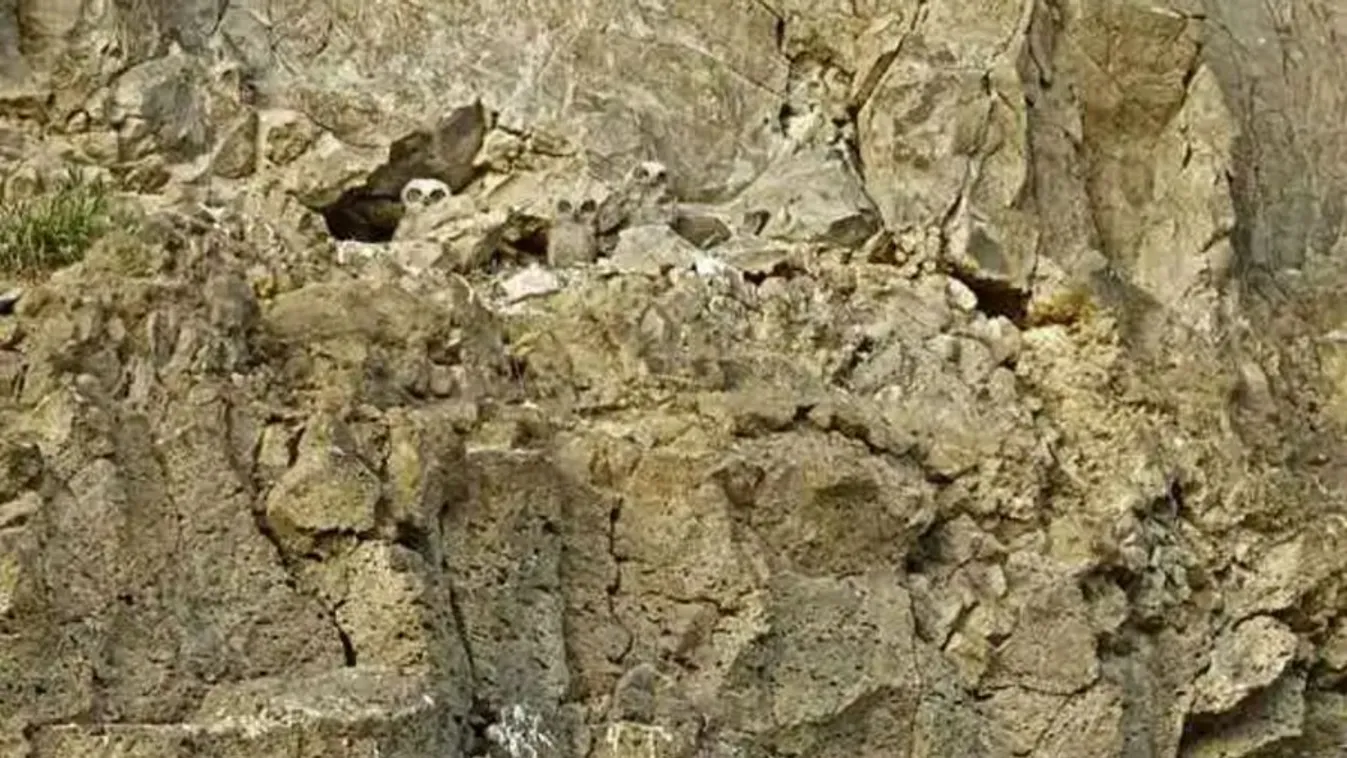 Teszt: csupán az emberek 1 százaléka tudja megoldani