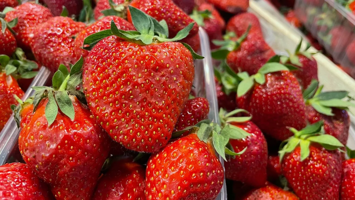 Két hét alatt felére csökkent az eper ára