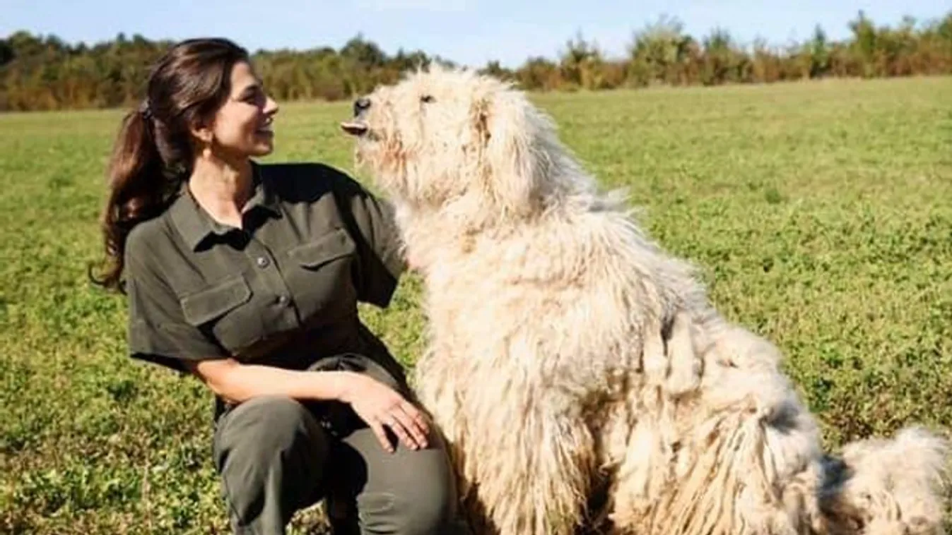 Állatbarát fővárost szeretne Szentkirályi Alexandra