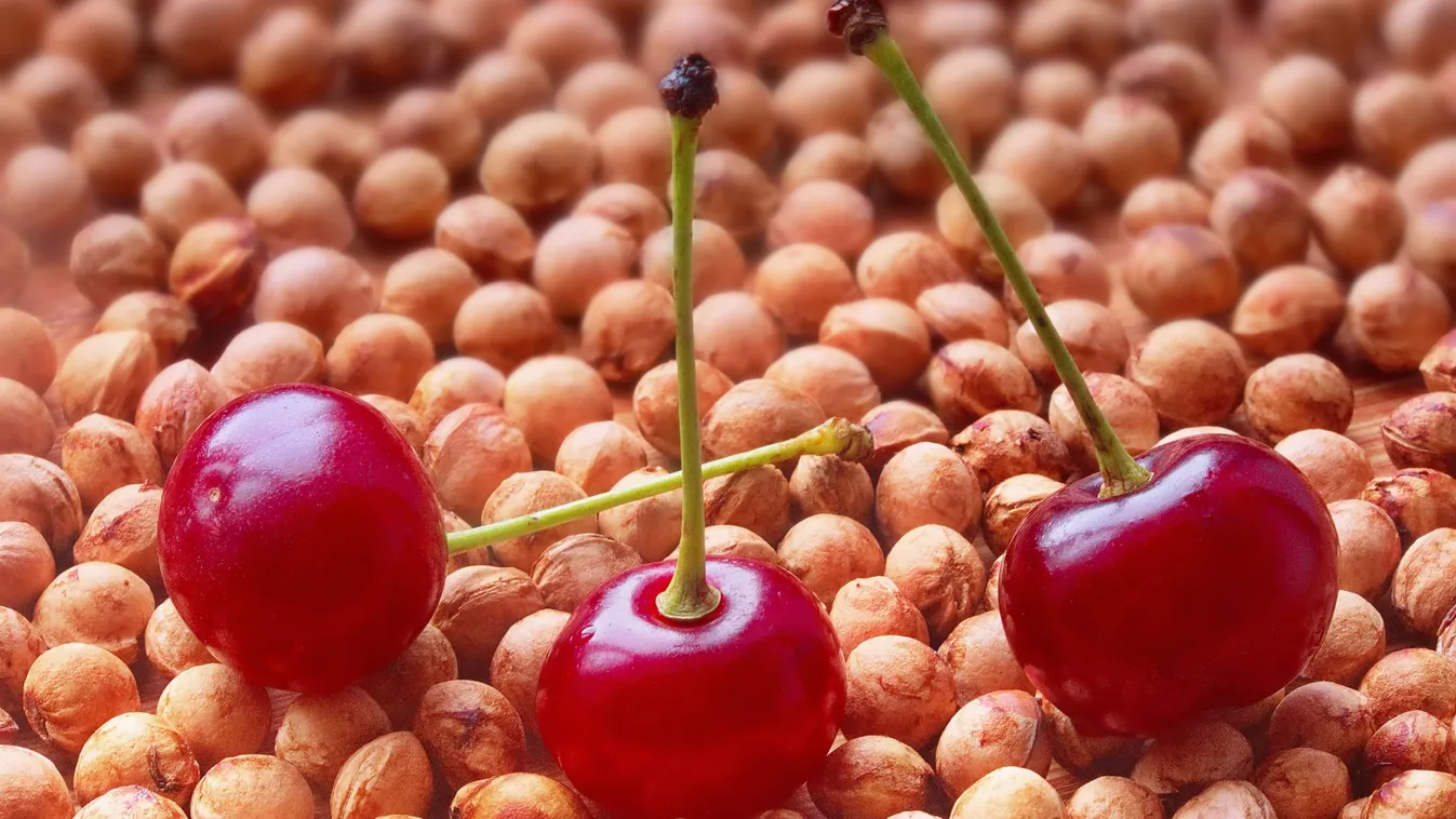 Ne dobd el a meggymagot, fantasztikus, mi mindenre jó!