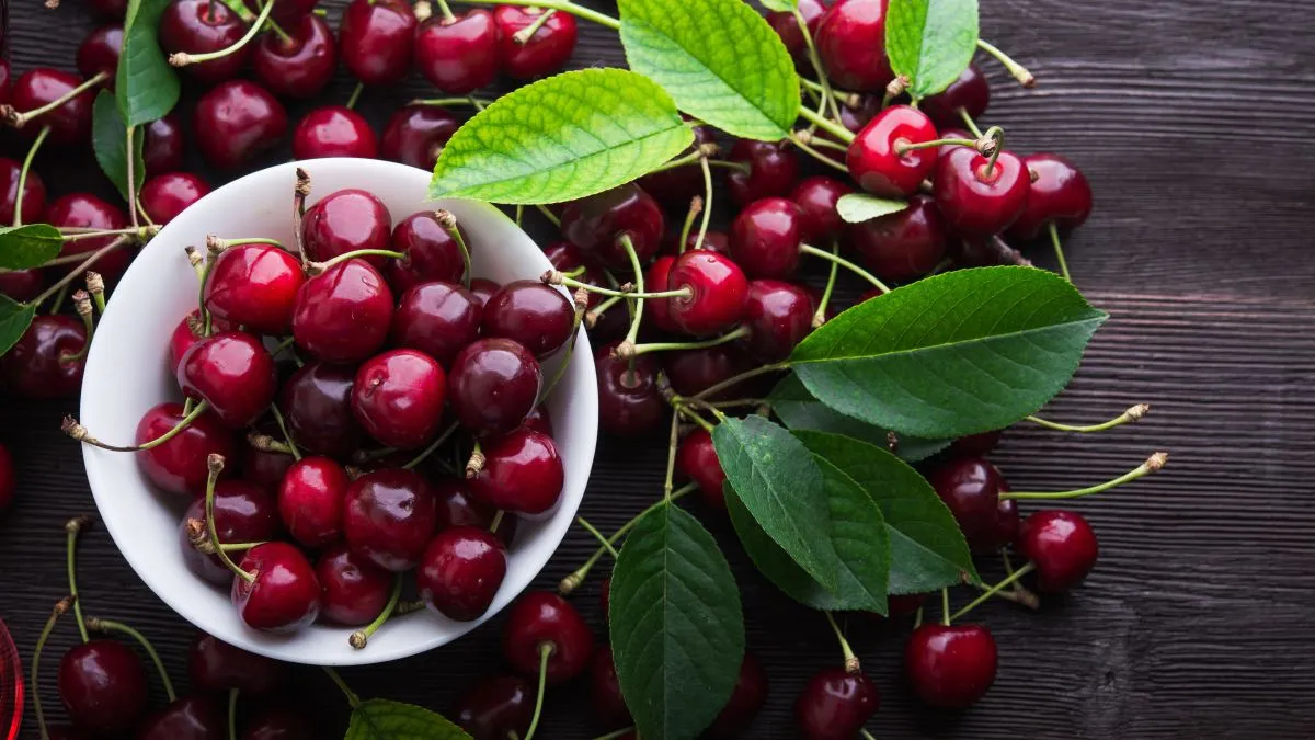 Fresh,Cherries,In,Bowl,On,Table