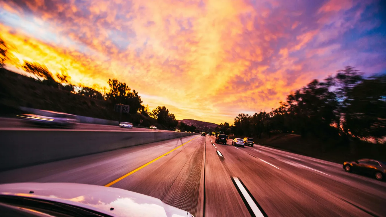 A szakemberek elborzadtak attól, ami egy autóból előkerült