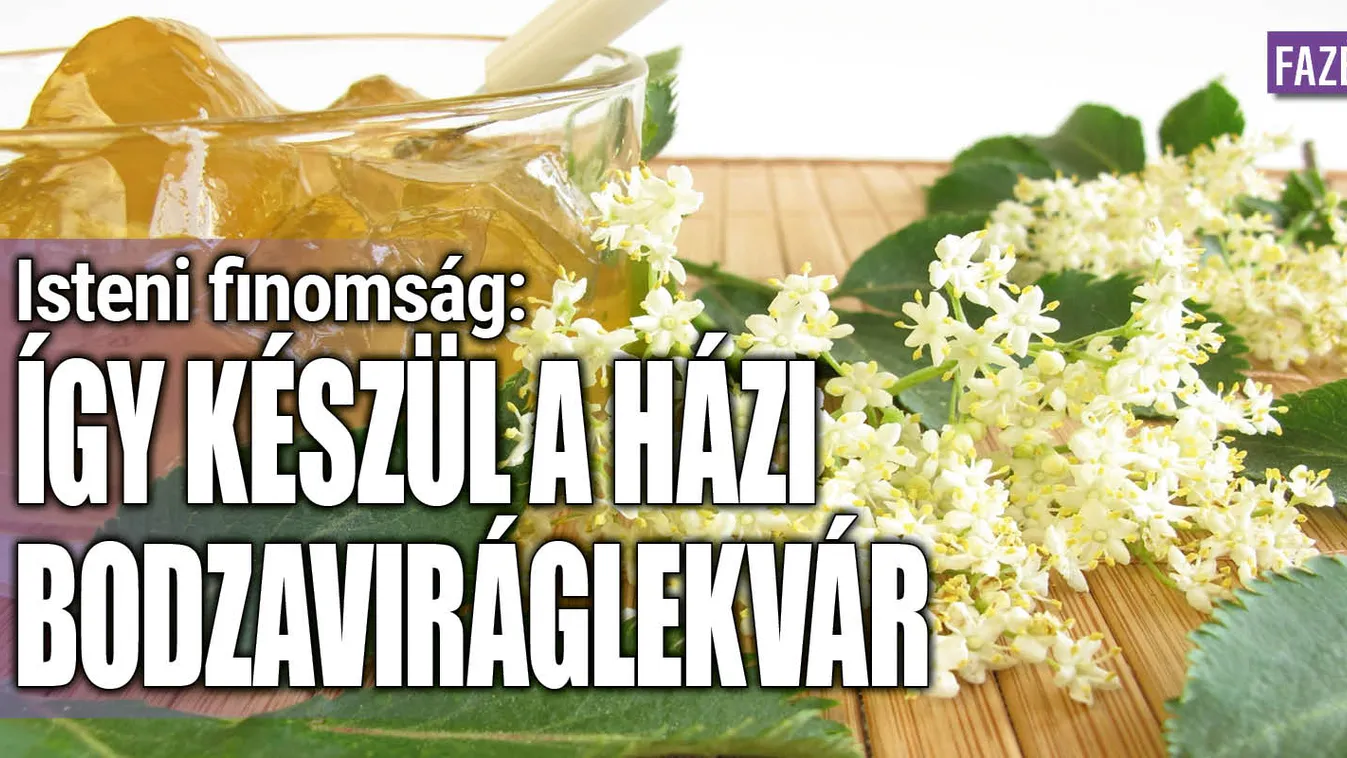 Isteni finomság: Így készül a házi bodzaviráglekvár
