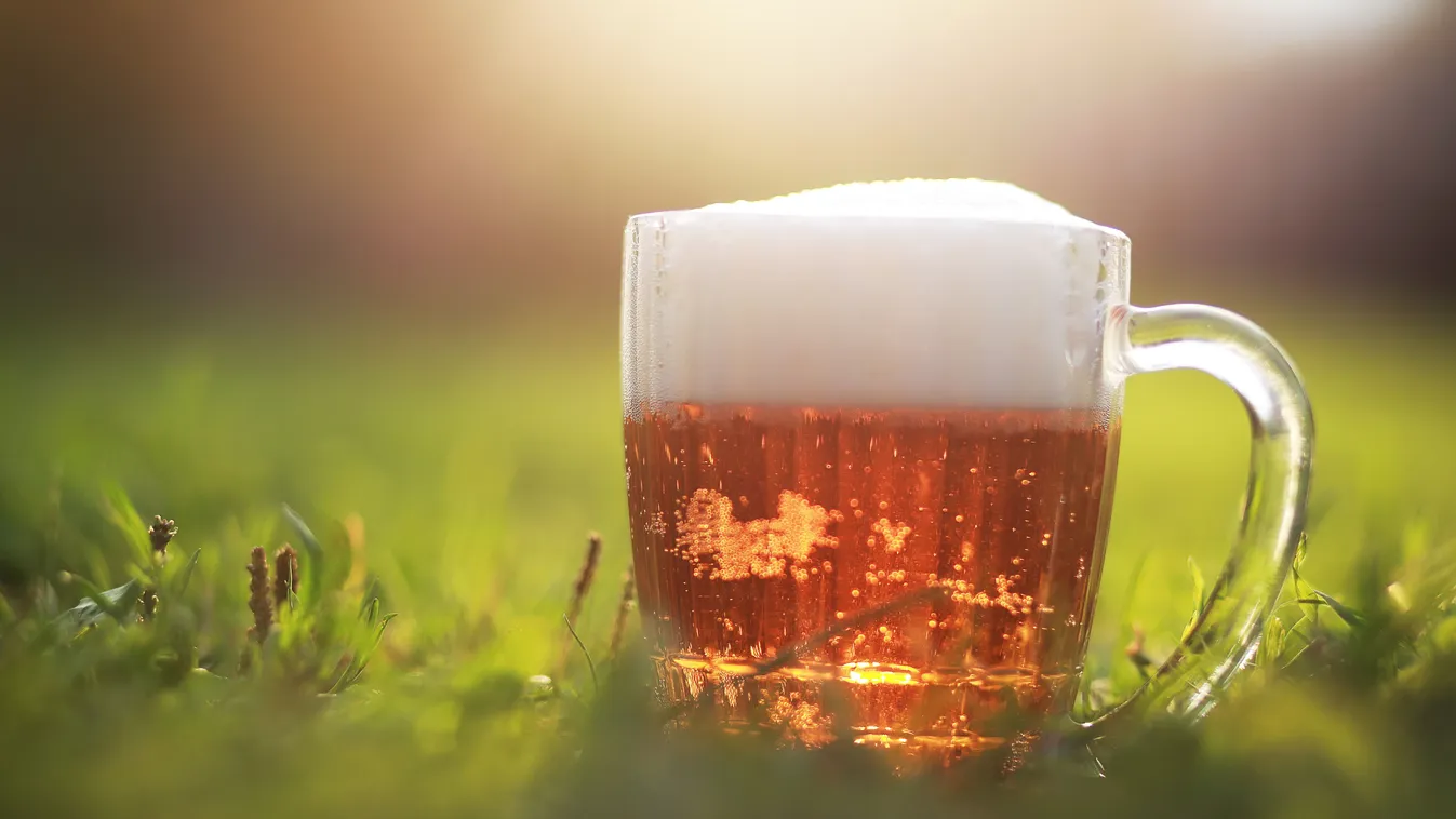 Eljött az idő, most vidd ki a sört a kertedbe