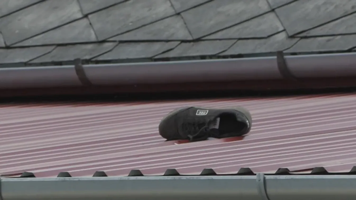 „Nem gondoltam, hogy meghalt”- Barátja gázolta el a 27 évest