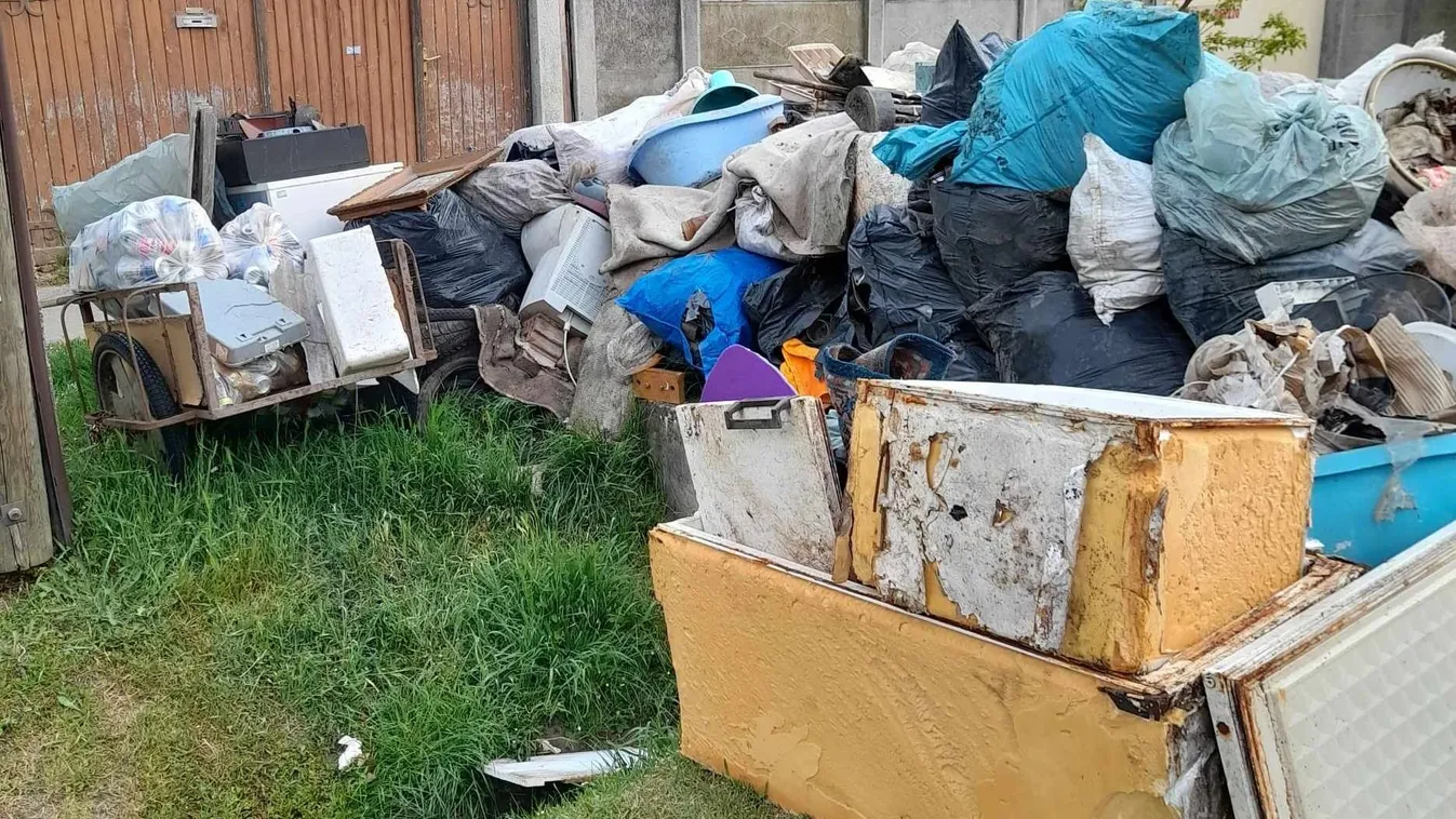 10 éve küzd szomszédjával Zelka: patkányok vannak mindenhol