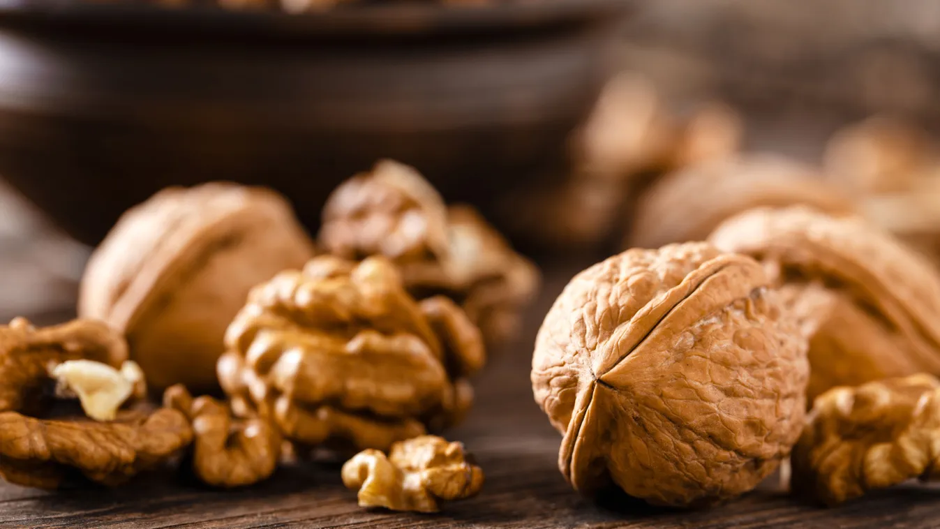 Támad a dióburok-fúrólégy