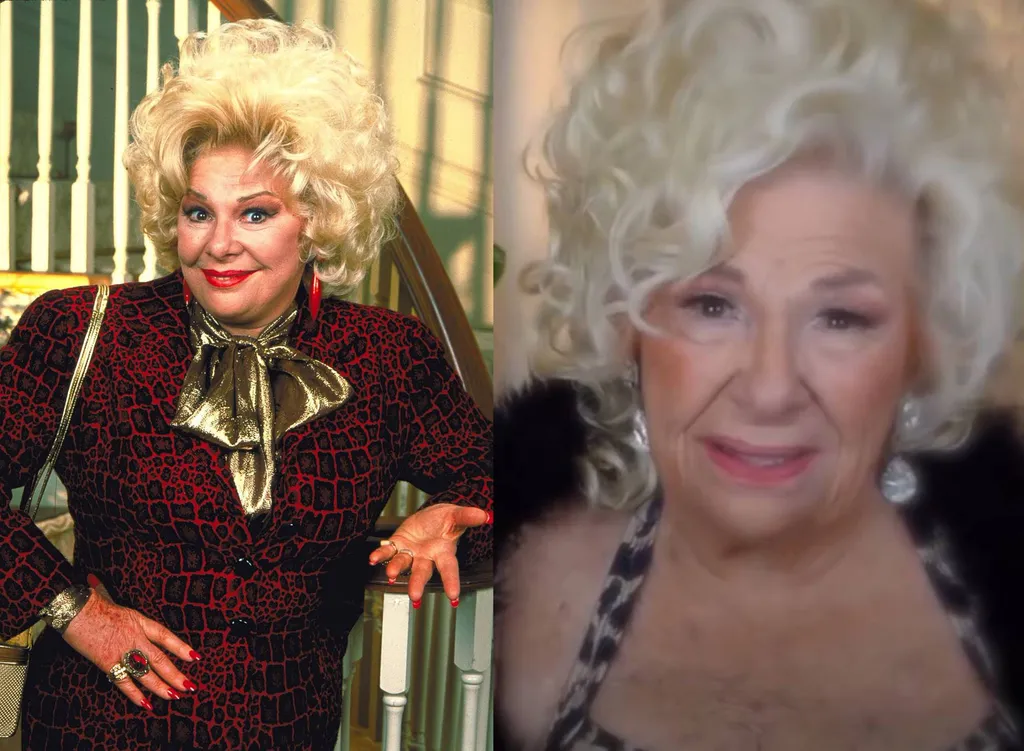 Renée Taylor - Fran anyja, Sylvia Fine
Renée Taylor hosszú és sikeres karriert futott be, mielőtt Fran Fine szókimondó anyját játszotta volna. Taylort és néhai férjét, Joseph Bolognát Oscar-díjra jelölték a Szerelmesek és más idegenek c