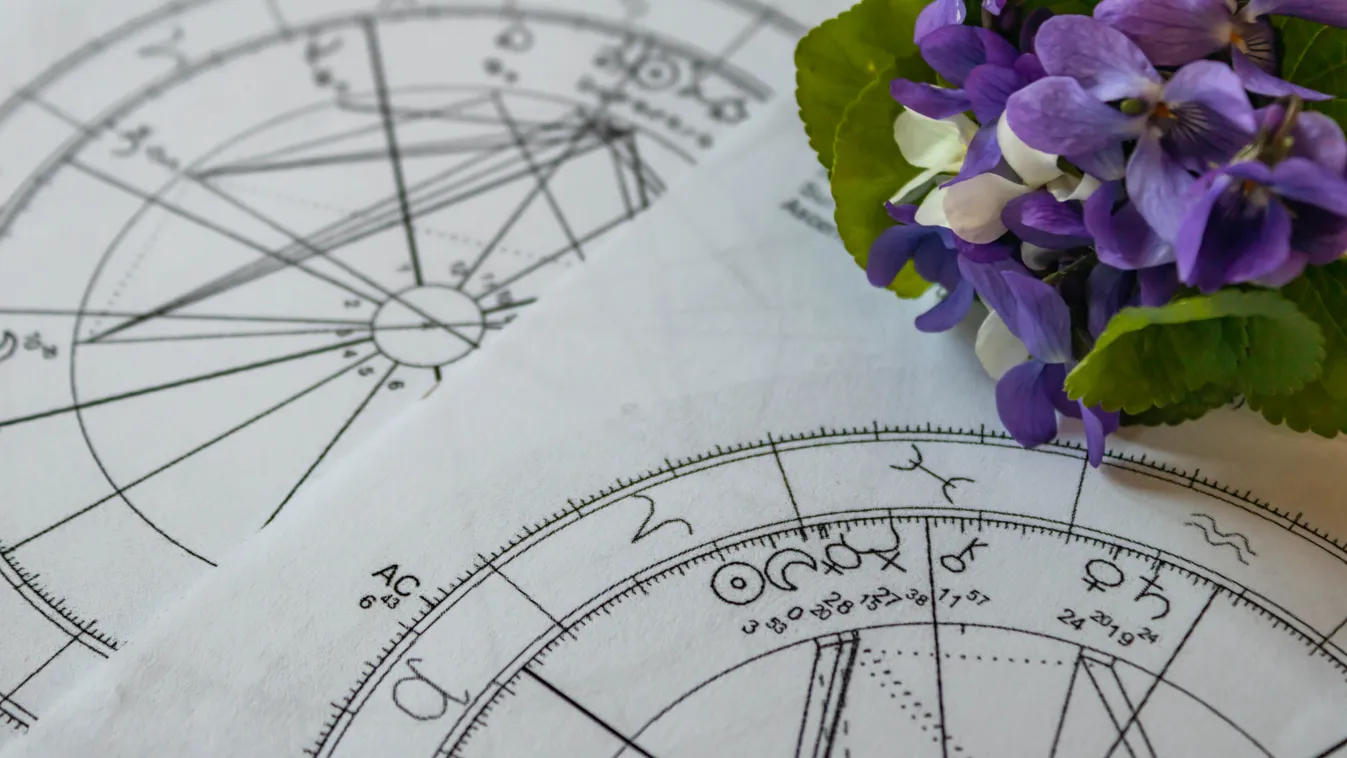 Ennek a 4 csillagjegynek a legtisztább a szíve!