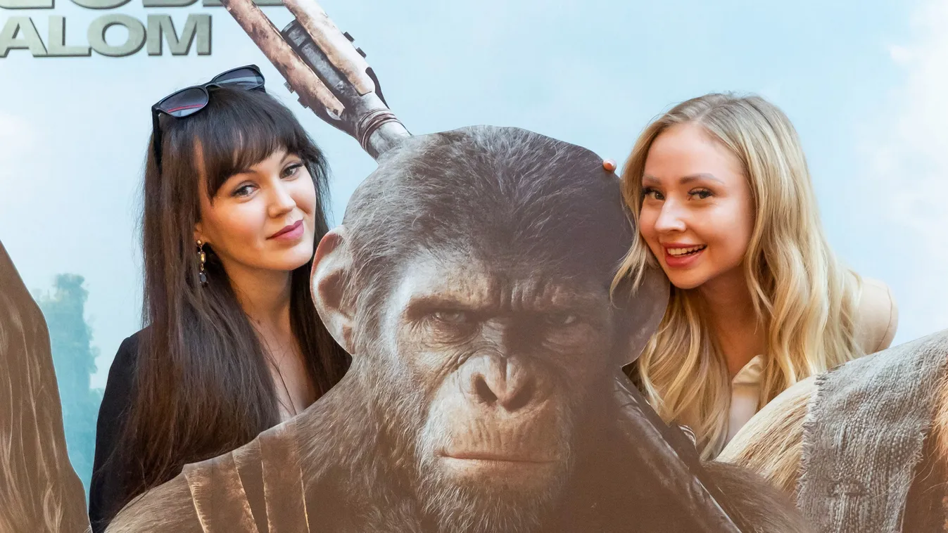 Majomkodás a köbön: mozizni voltak a sztárok - galéria