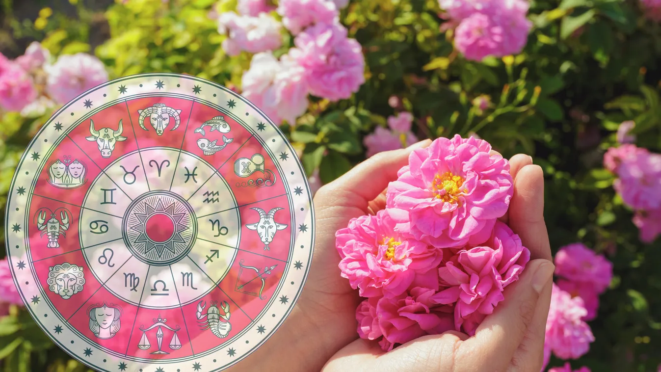 Virághoroszkóp: most kiderül, milyen pár illik hozzád a szerelemben