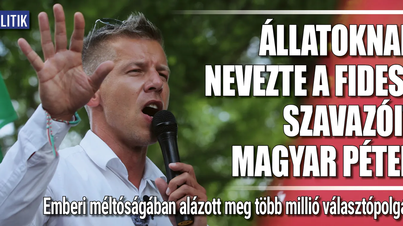 Állatoknak nevezte a Fidesz szavazóit Magyar Péter