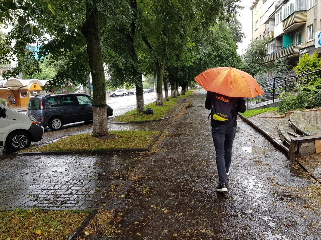 On,A,Rainy,Day,With,Rain,Umbrella,In,The,City. vihar autó