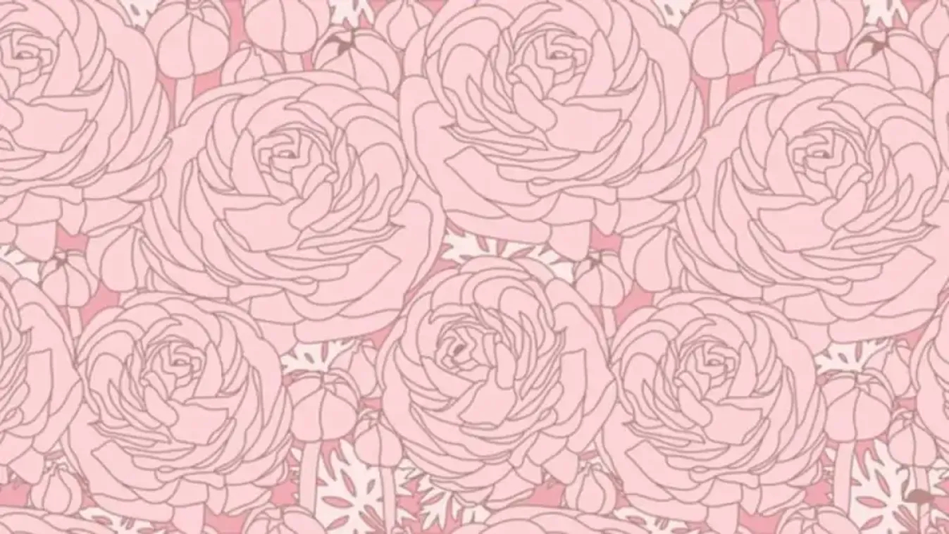 Zseni vagy, ha meg tudod oldani, sokakon kifog ez a teszt