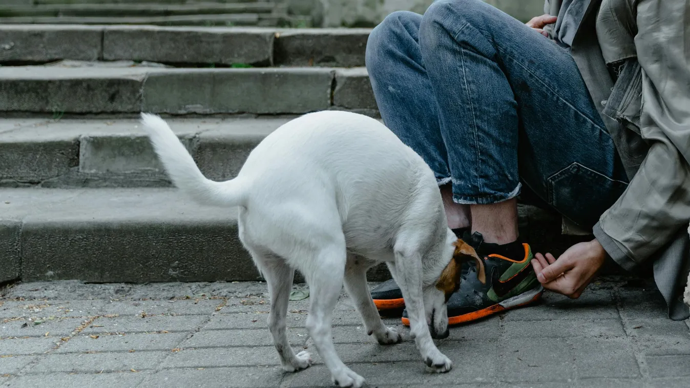 „Megakadályoztam, hogy egy nő ételt lopjon egy hajléktalantól – aztán kiderült az igazság”