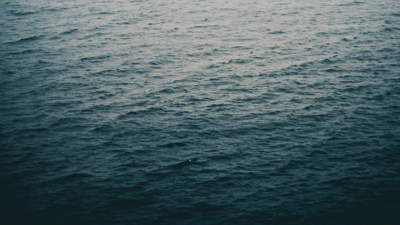 Újabb holttestet találtak a vízben