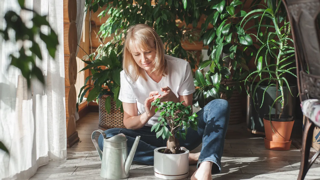 Ne hozzunk haza a nyaralásról növényt, virágot!