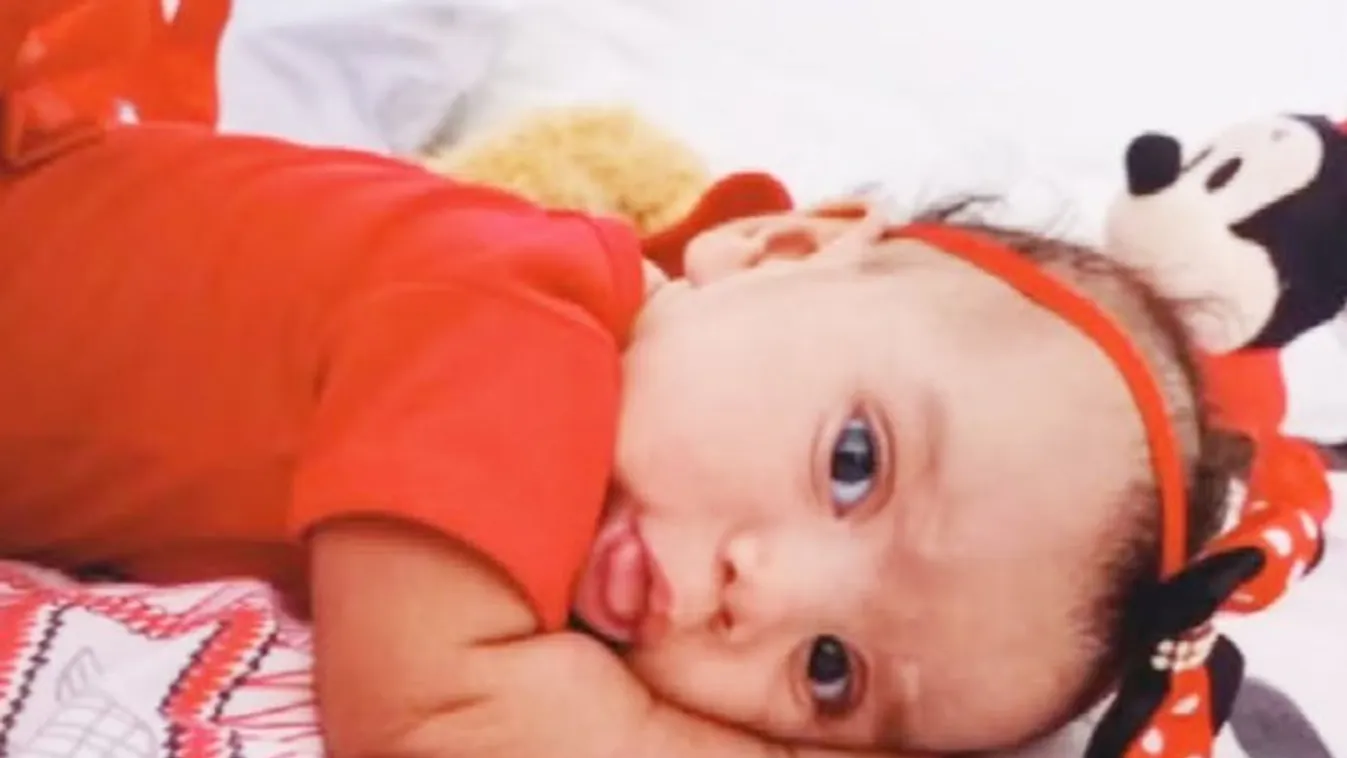 Horror, a család éhes kutyája marcangolta halálra a kisbabát