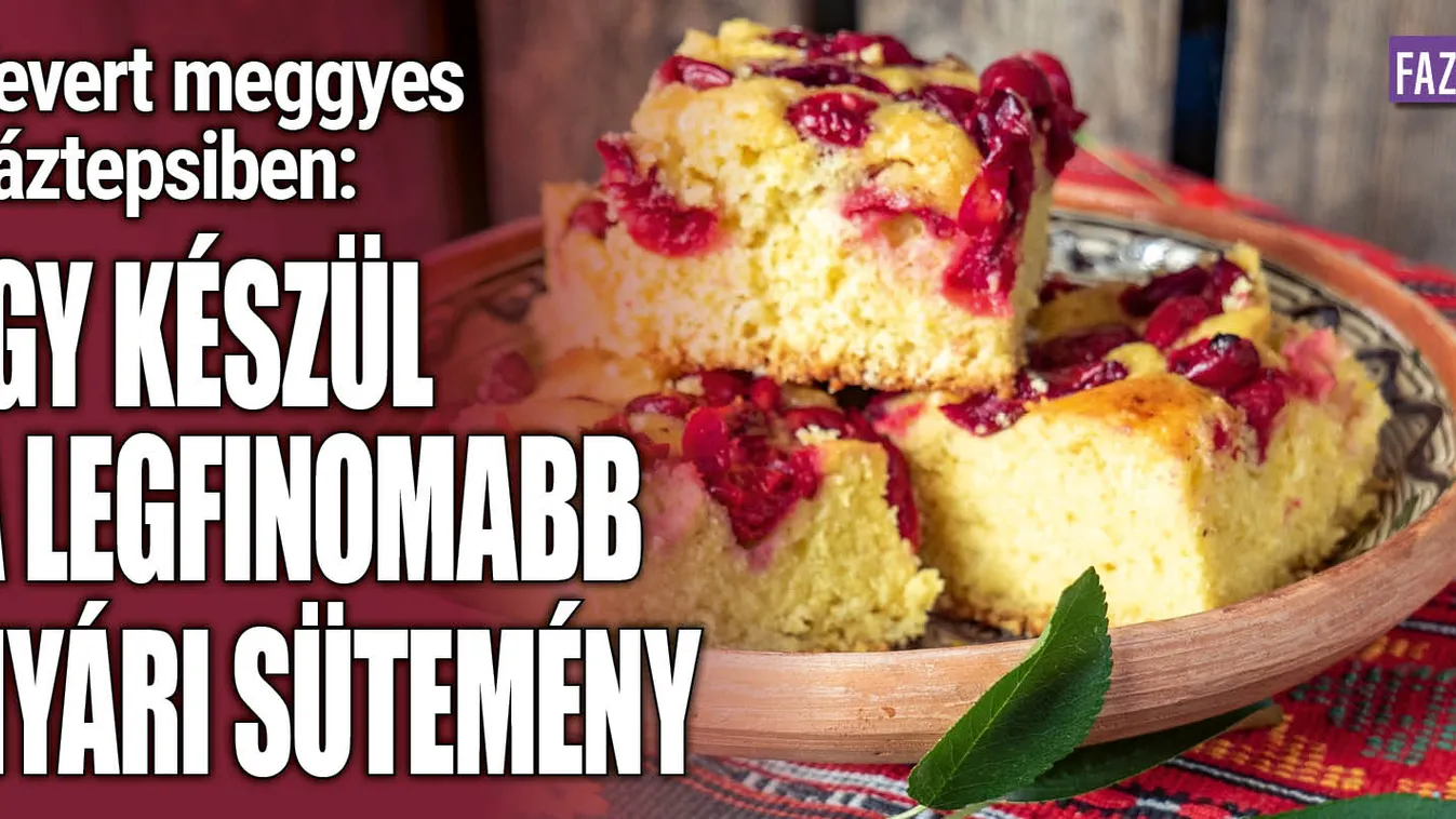 Meggyes gáztepsiben: Így készül a legfinomabb sütemény