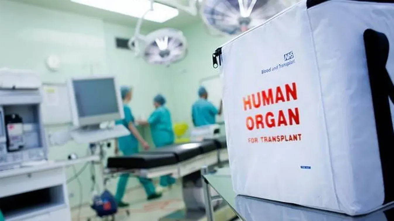 Szervkereskedelemmel vádolnak egy ukrán miniszterhelyettes