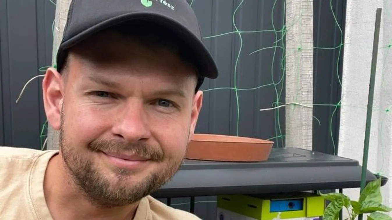 Így kertészkedj kert nélkül