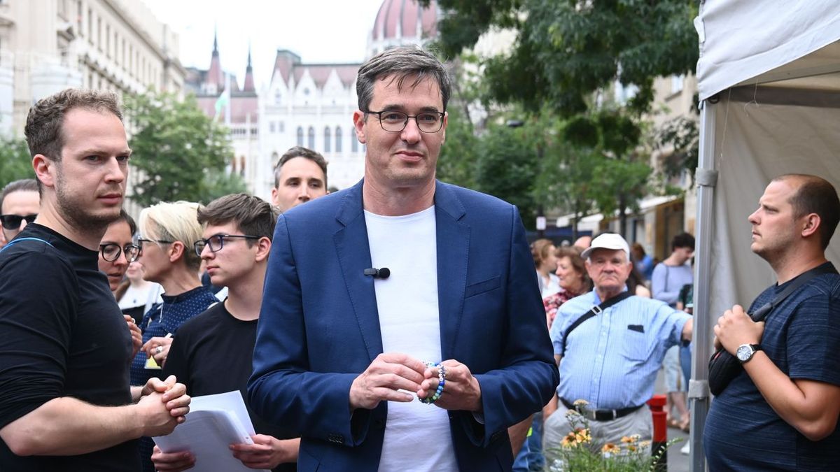Vitézy elmegy az Alkotmánybíróságig