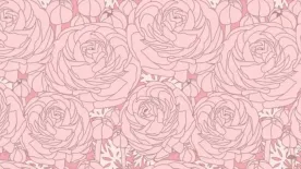 Zseni vagy, ha meg tudod oldani, sokakon kifog ez a teszt