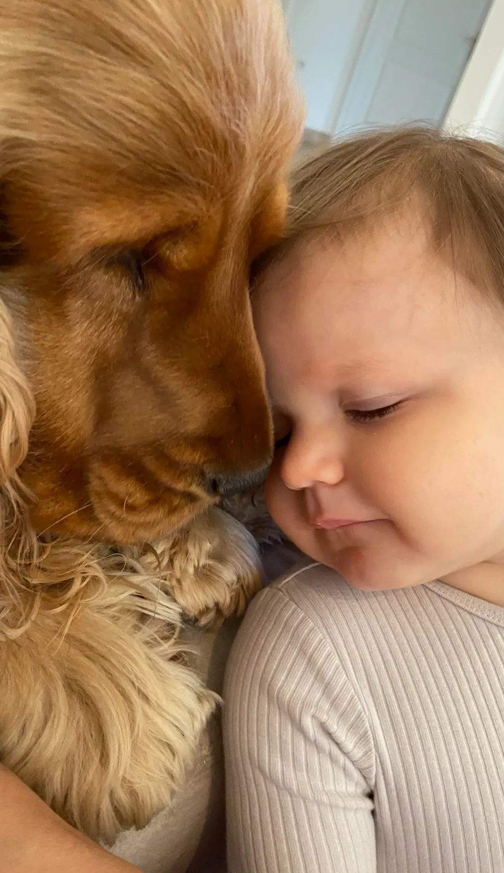 II. helyezett: Székely-Gergely Katalin és Panni Sámuellel